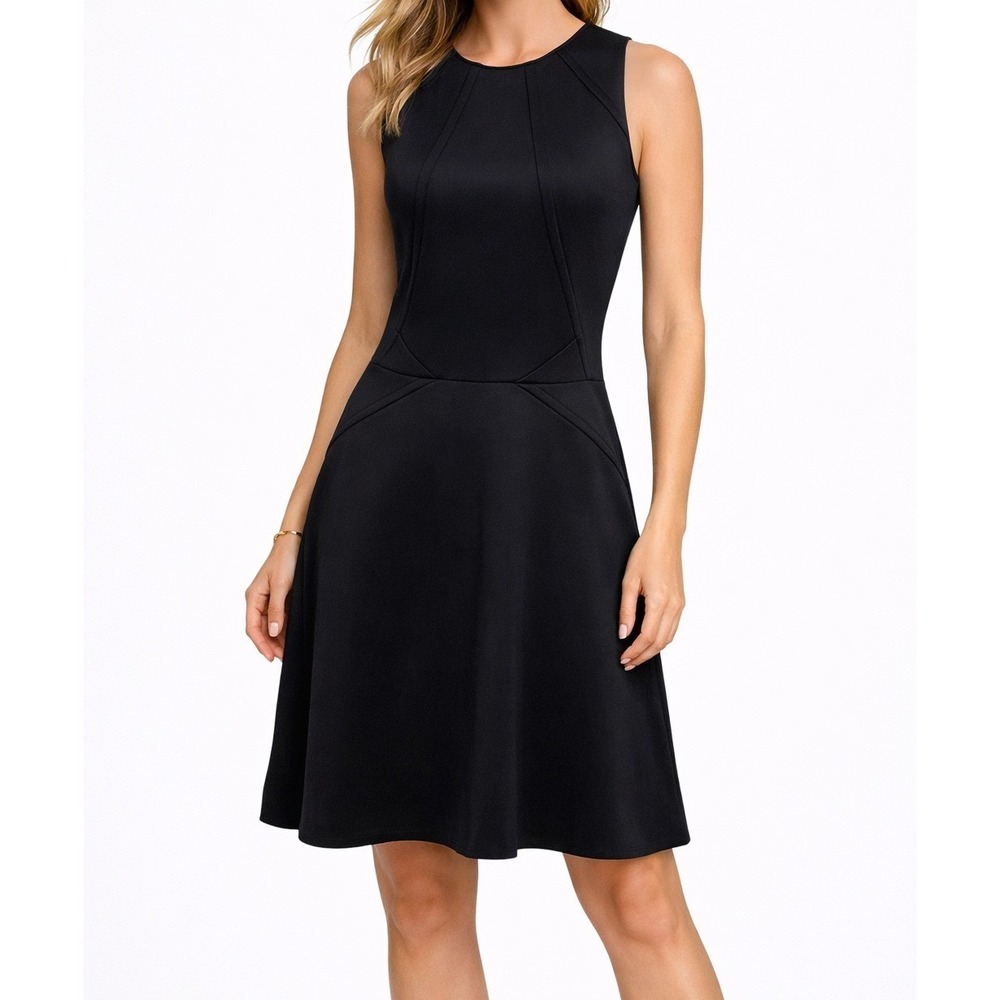Ted Baker Mitton Black Fit Flare Skater Dress Sleeveless Cocktail Size‎ 2